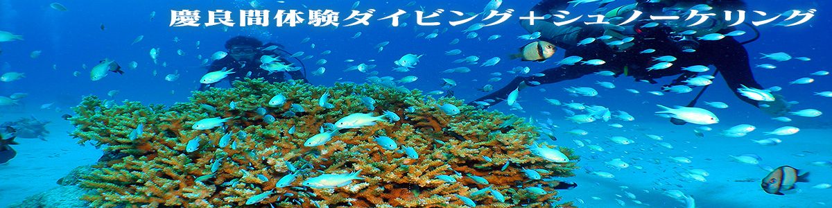 沖縄 ケラマブルーの海で体験ダイビング